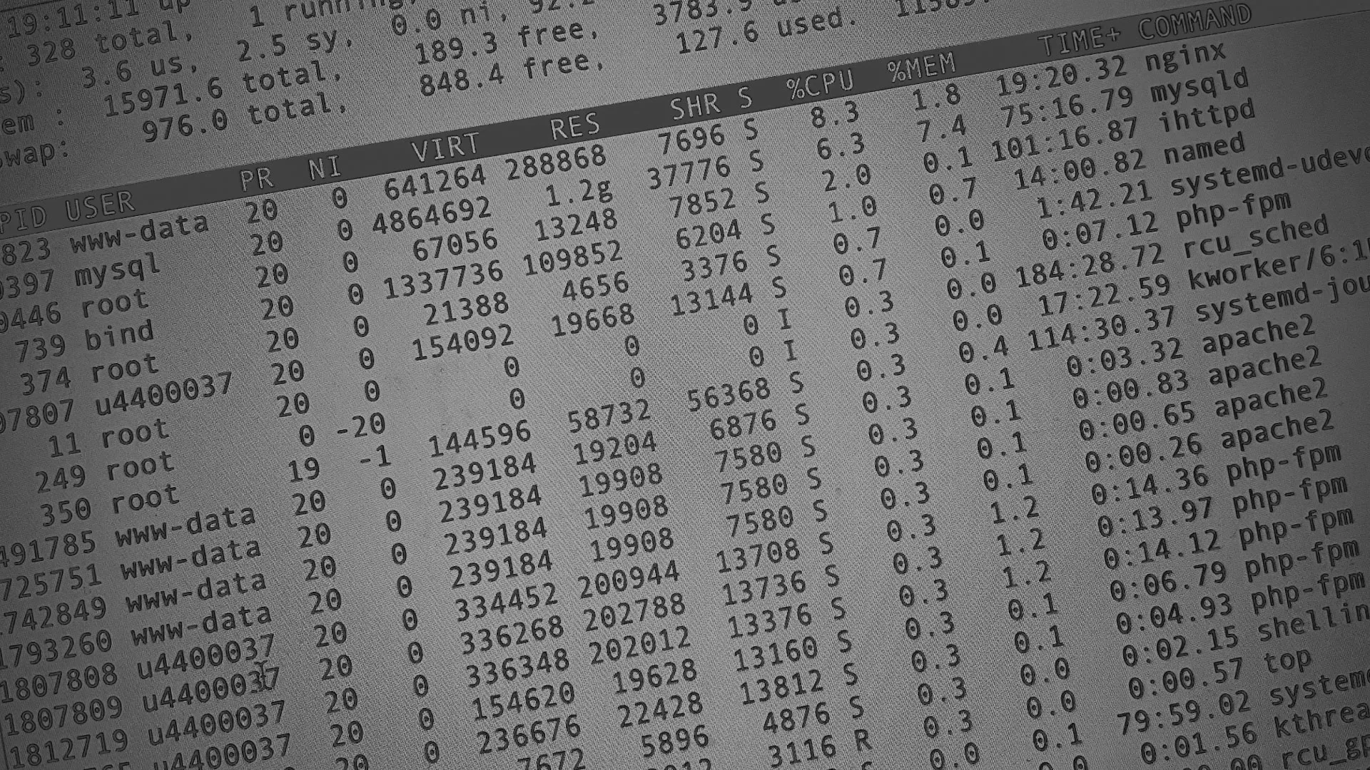 Настройка сервера в Почепе