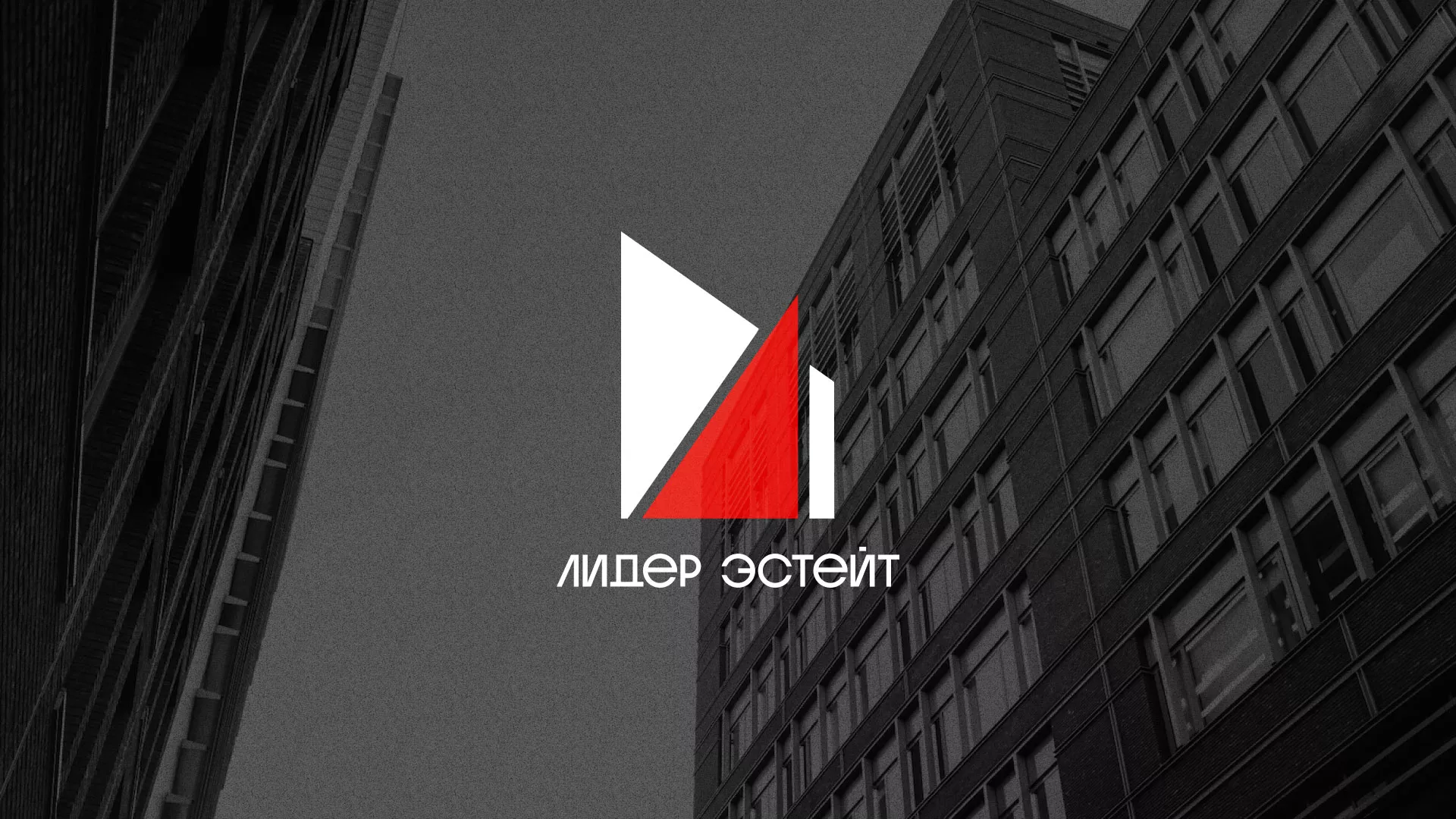 Сделали логотип для агентства недвижимости «Лидер Эстейт» в Почепе